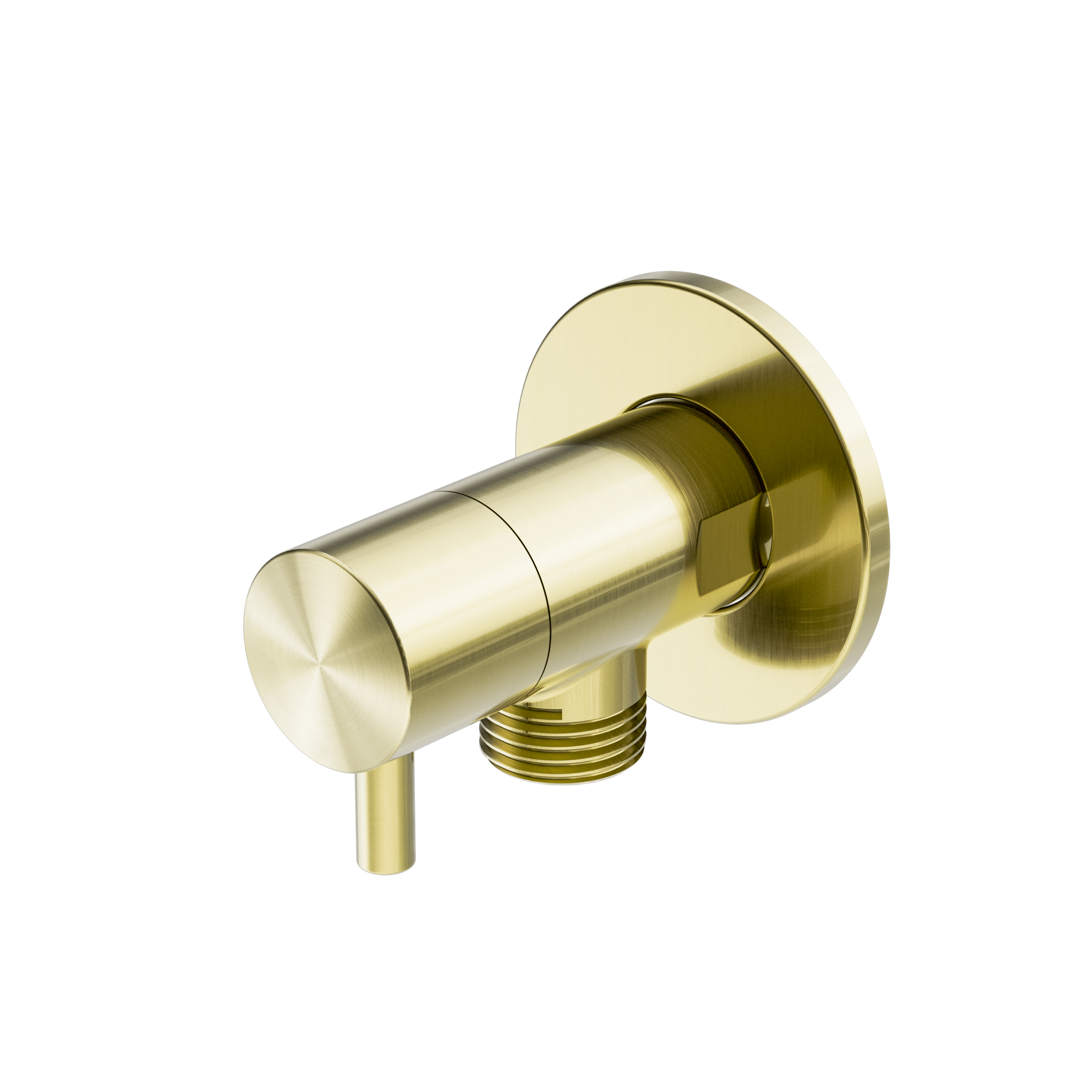 Mini Cistern Stop Brushed Gold