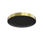 Serenity Wall Shower Head Brushed Gold