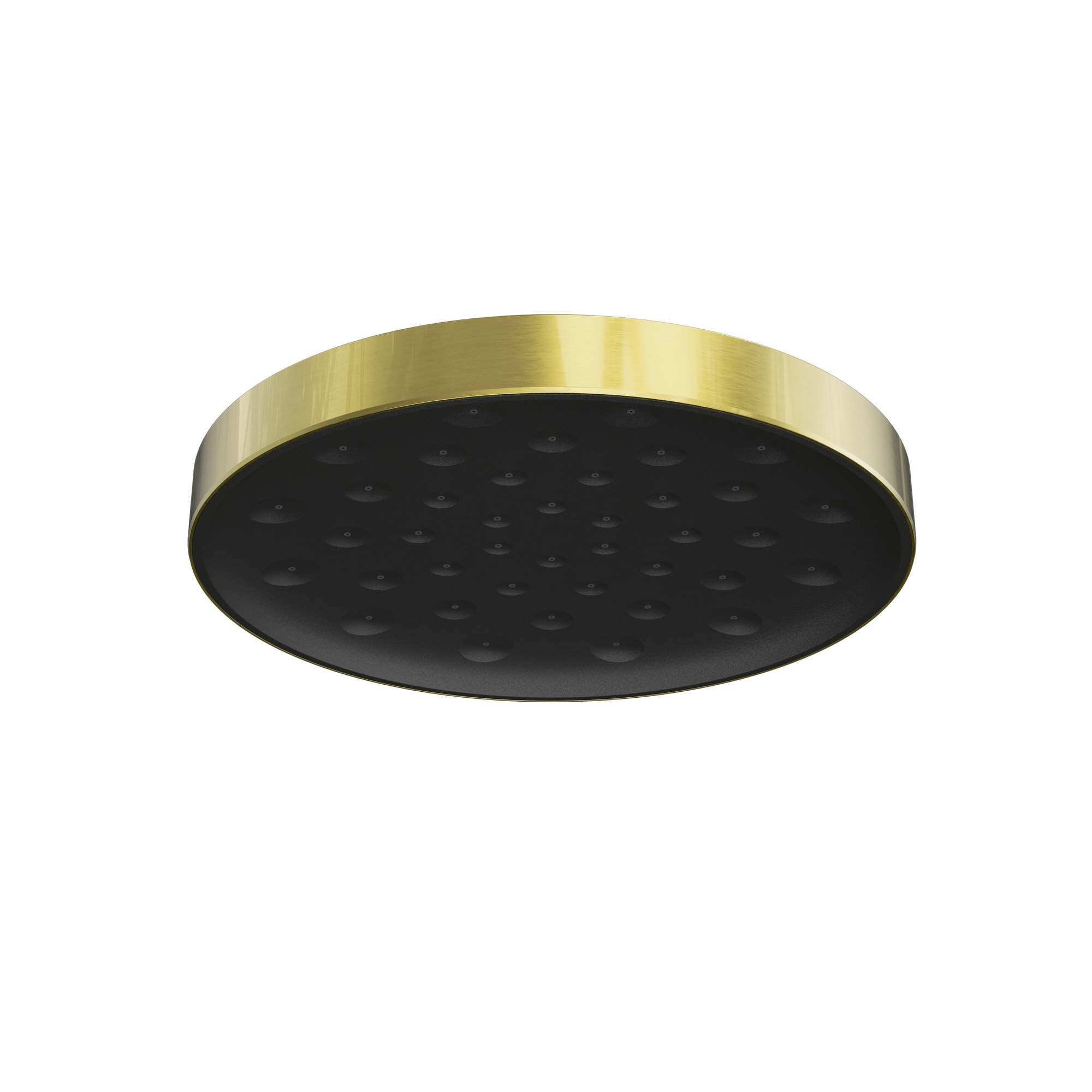 Serenity Wall Shower Head Brushed Gold