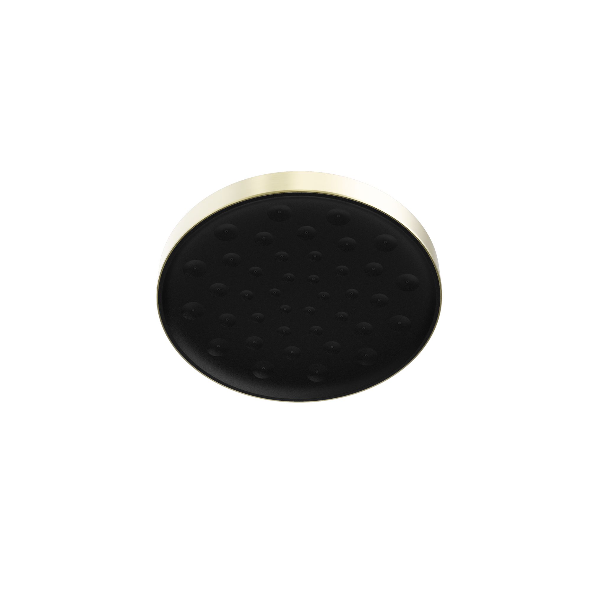 Serenity Shower Head Brushed Gold