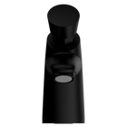SS316 Lead Free Timeflow Push Button Pillar Tap PVD Black