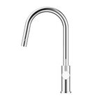 Mecca Pull Out Sink Mixer With Vegie Spray Function Chrome