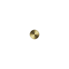 New Mecca Robe Hook Brushed Gold