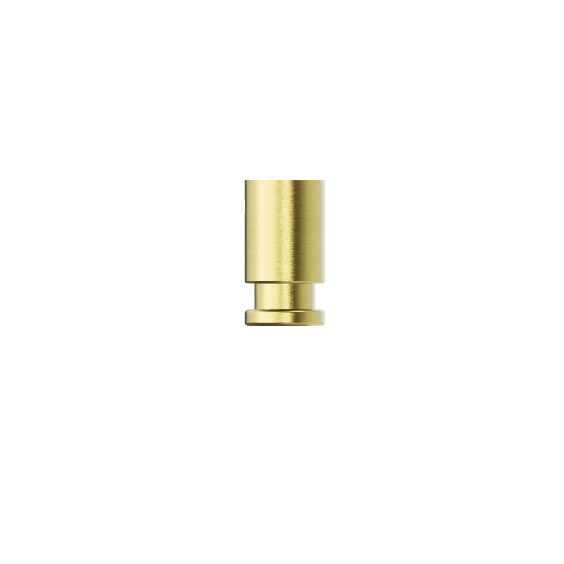 New Mecca Robe Hook Brushed Gold