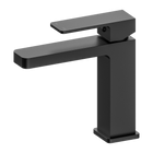 Celia Basin Mixer Builders Range Matte Black