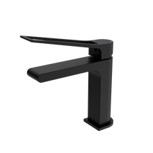 Bianca Care Basin Mixer Matte Black