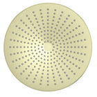 Opal 250mm Shower Head Brushed Gold