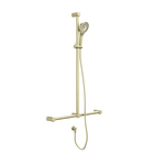 Mecca Care 32mm T Bar Grab Rail And Adjustable Shower Set 1100X750mm Brushed Gold