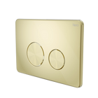 In Wall Toilet Push Plate Brushed Gold