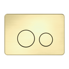 In Wall Toilet Push Plate Brushed Gold