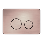 In Wall Toilet Push Plate Brushed Bronze